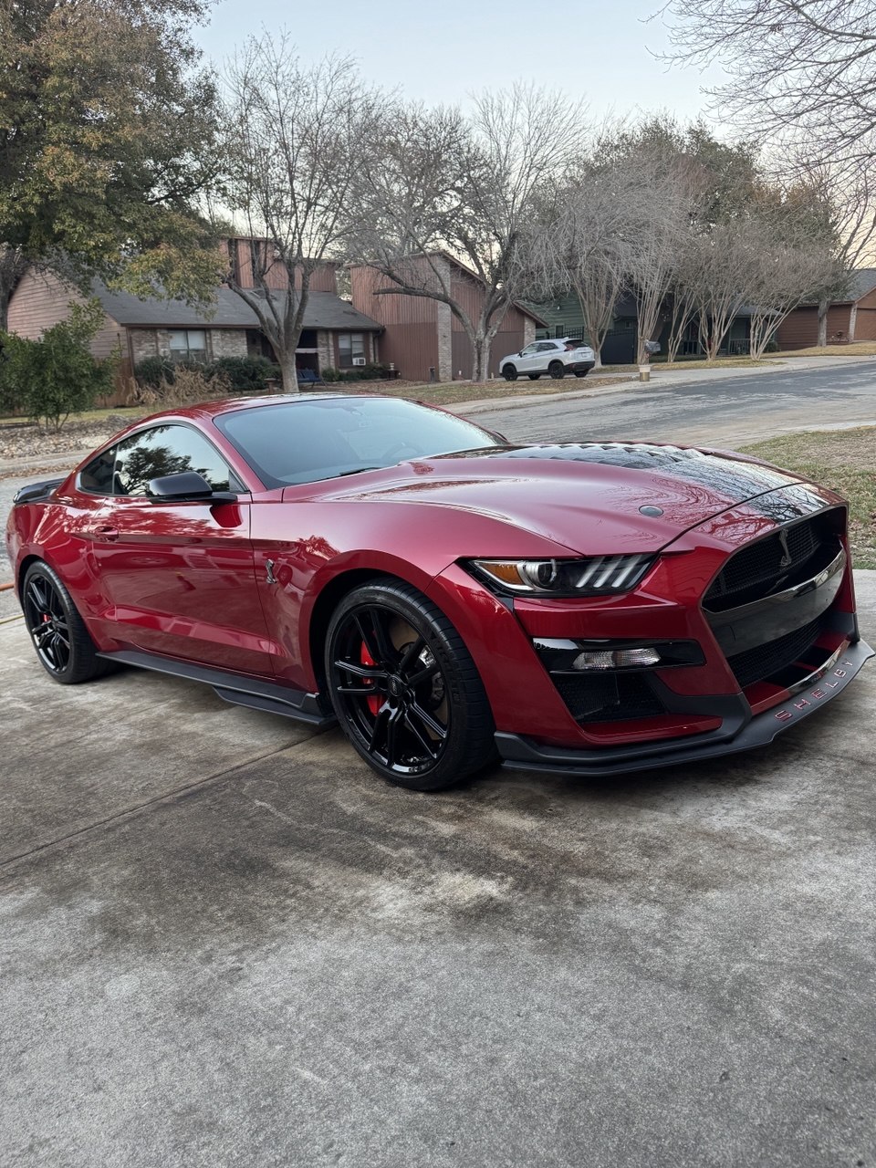 Full service detailing GT500